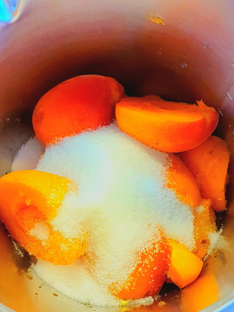 Aprikosenkaltschale - Concept Kitchen